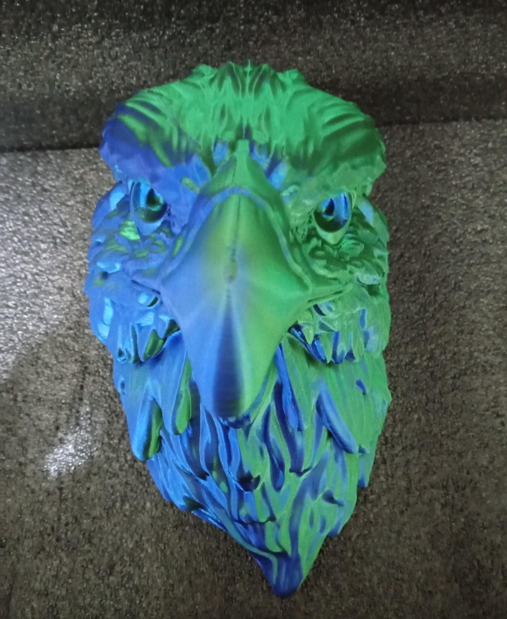 Eagle  - 0.12 layers , matterhackers dual color silk green/blue - 3d model