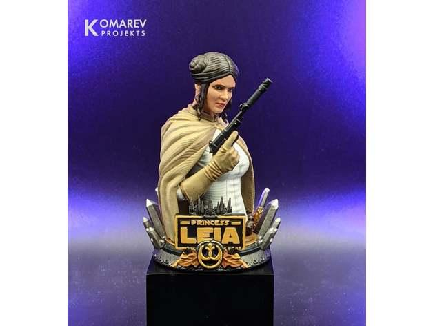 WICKED STAR WARS LEIA BUST: TESTED AND READY FOR 3D PRINTING 3d model