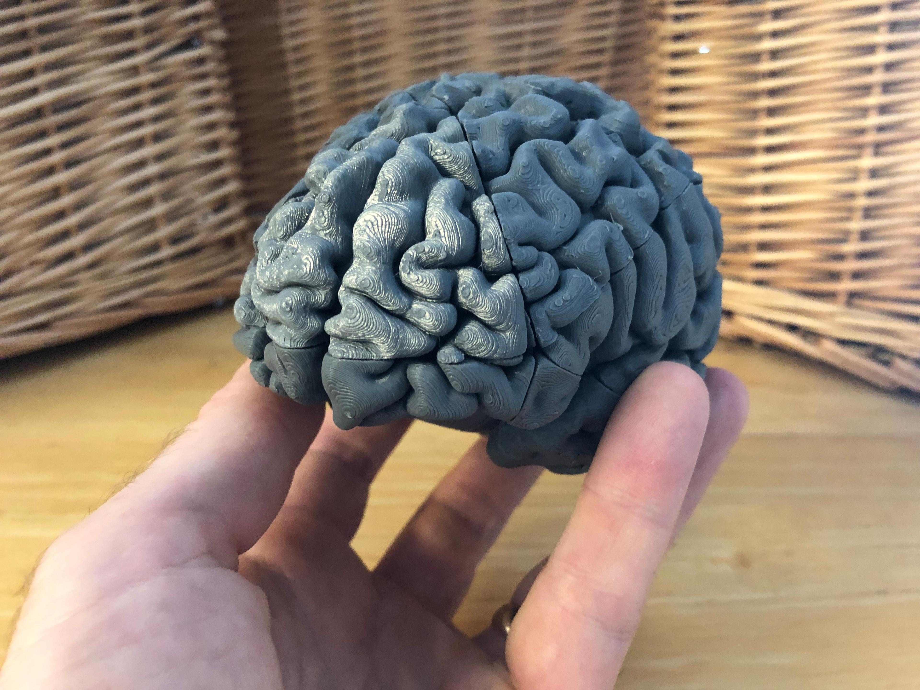 Brain Teaser 3d model