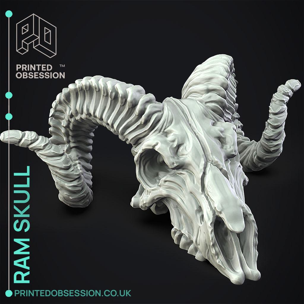 Ram Skull - Decoration 3d model