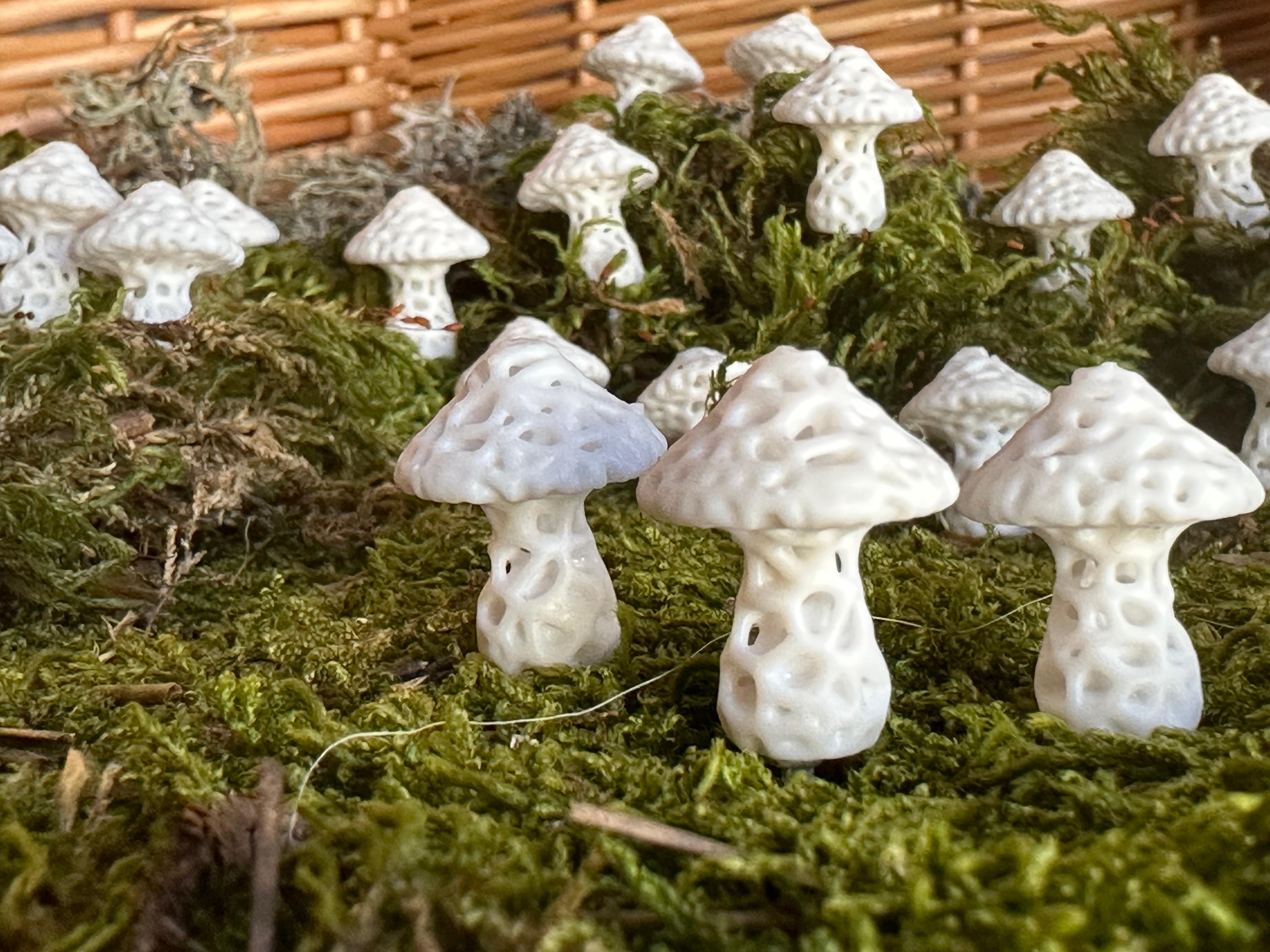 Stochastic Mushroom Magnets (Small) 3d model