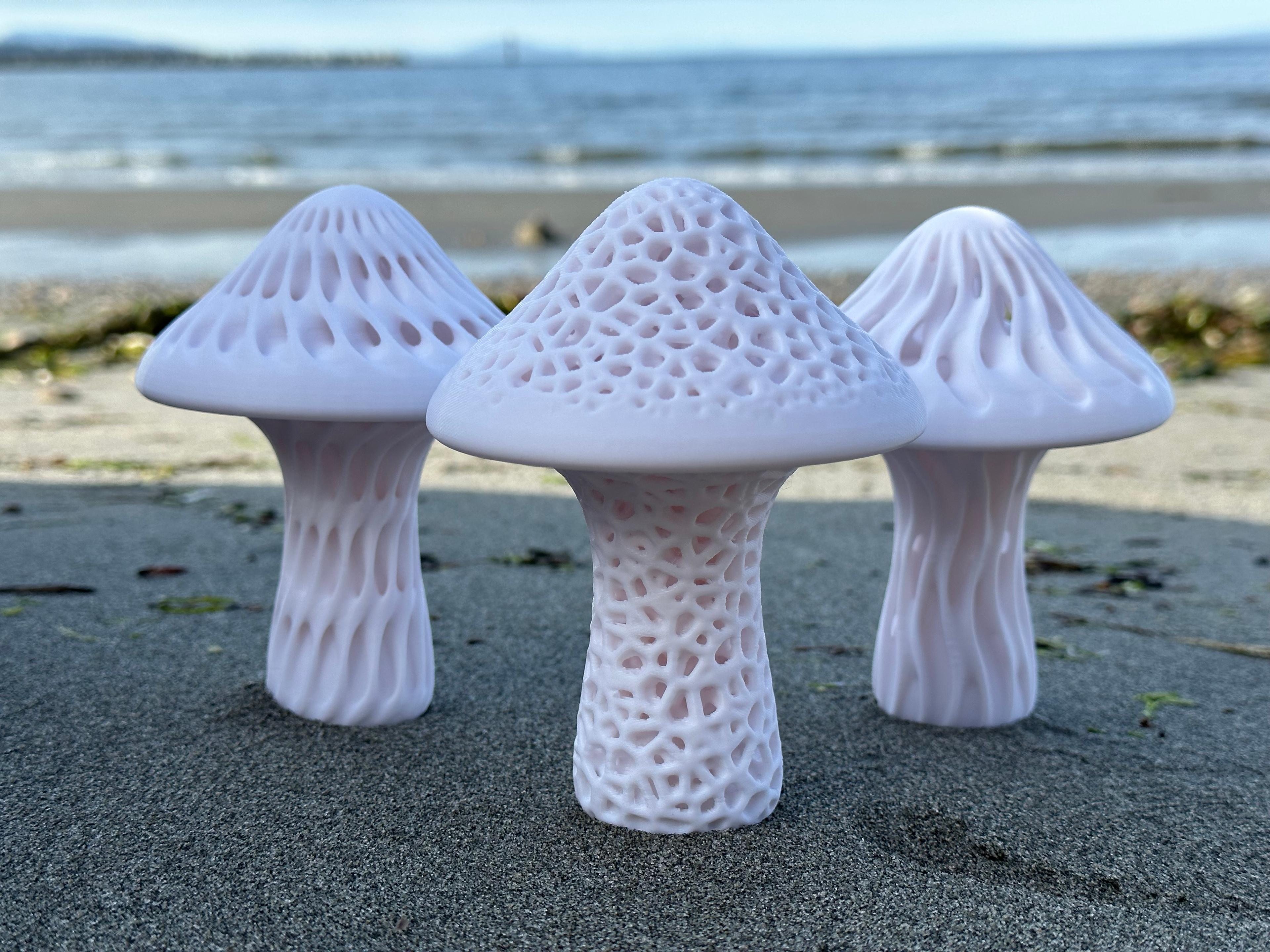 Messy Mushroom (Stochastic) 3d model