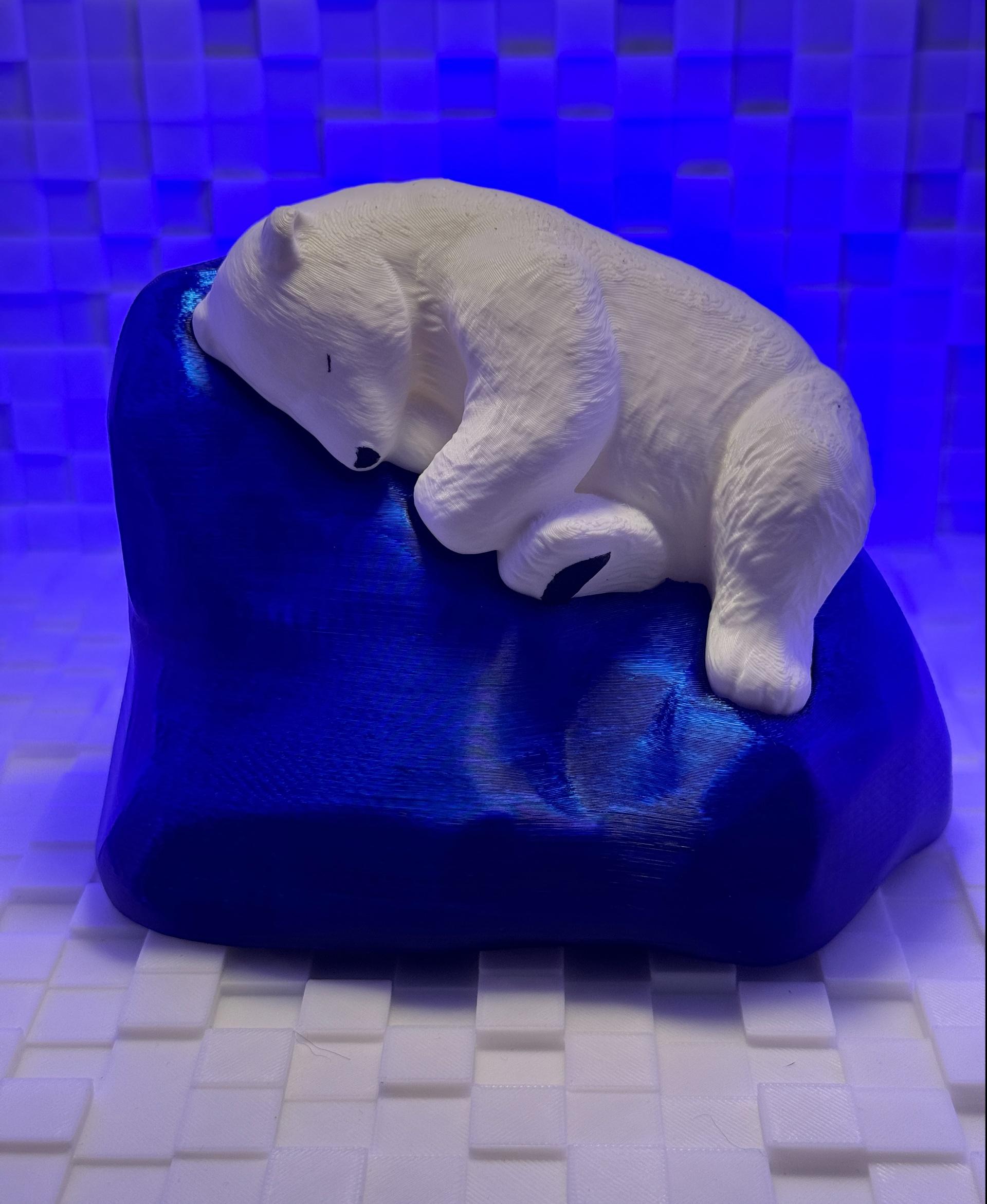 Sleeping Polar Bear - The iceberg was printed in Polymaker Translucent Blue PETG, the bear in Polymaker Polylite White PLA, and I hand-painted the pad on the foot, the nose, and the eye slit with black acrylic paint.

Such a cute model! - 3d model