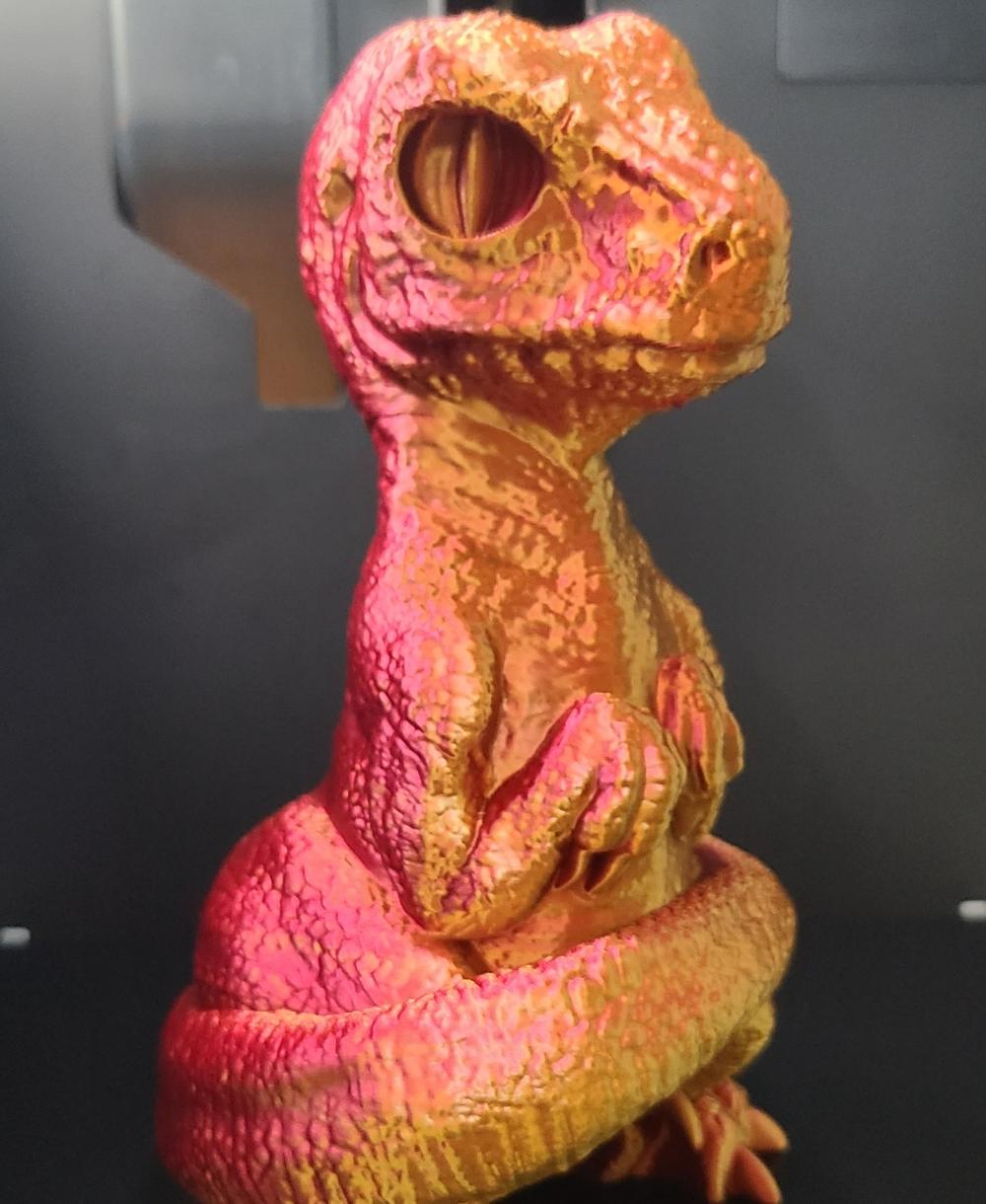 Baby Velociraptor 3d model
