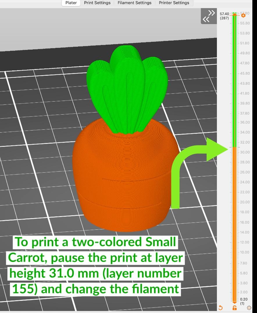 Carrot Garden 3d model