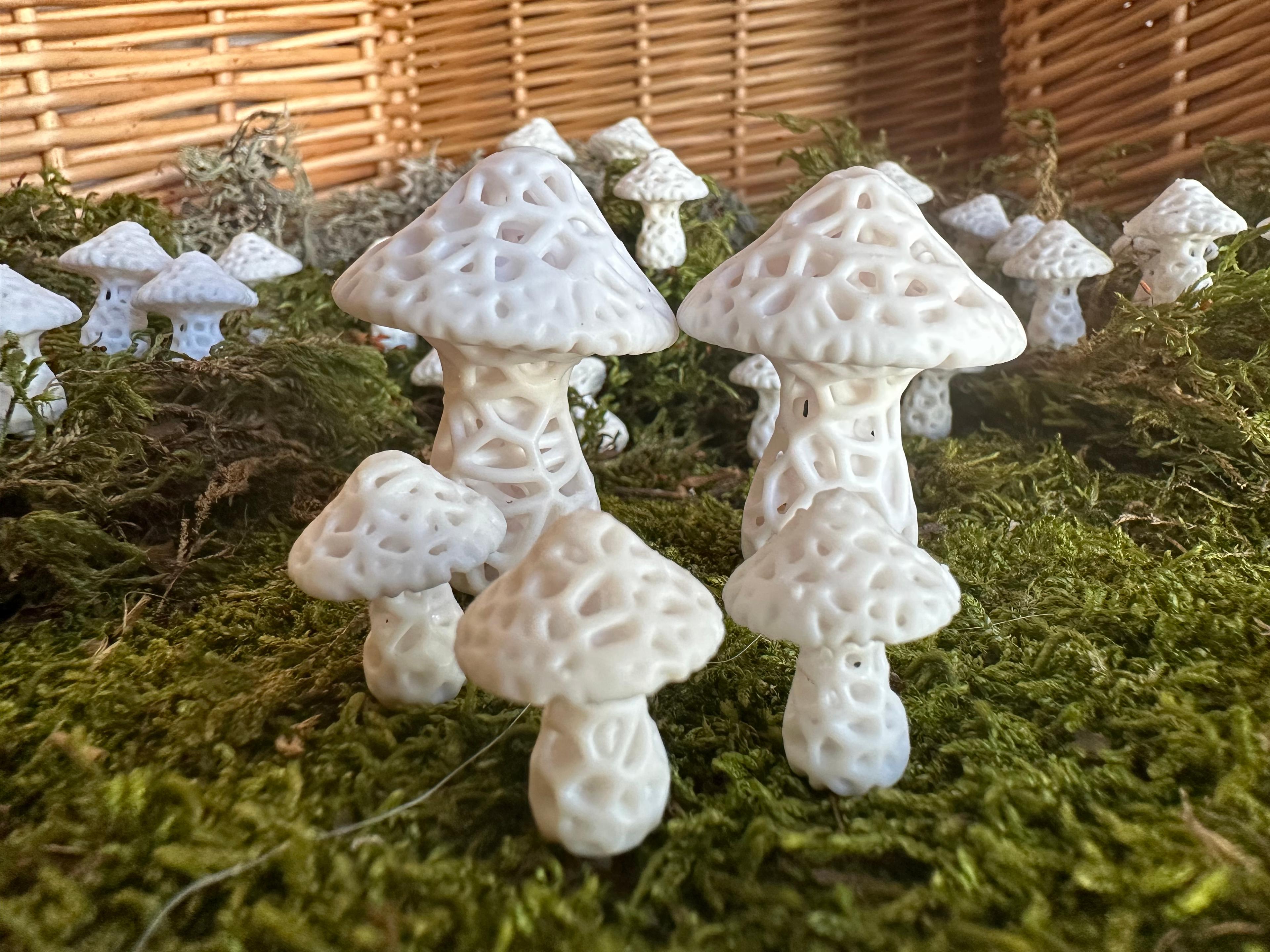 Stochastic Mushroom Magnets (Large) 3d model