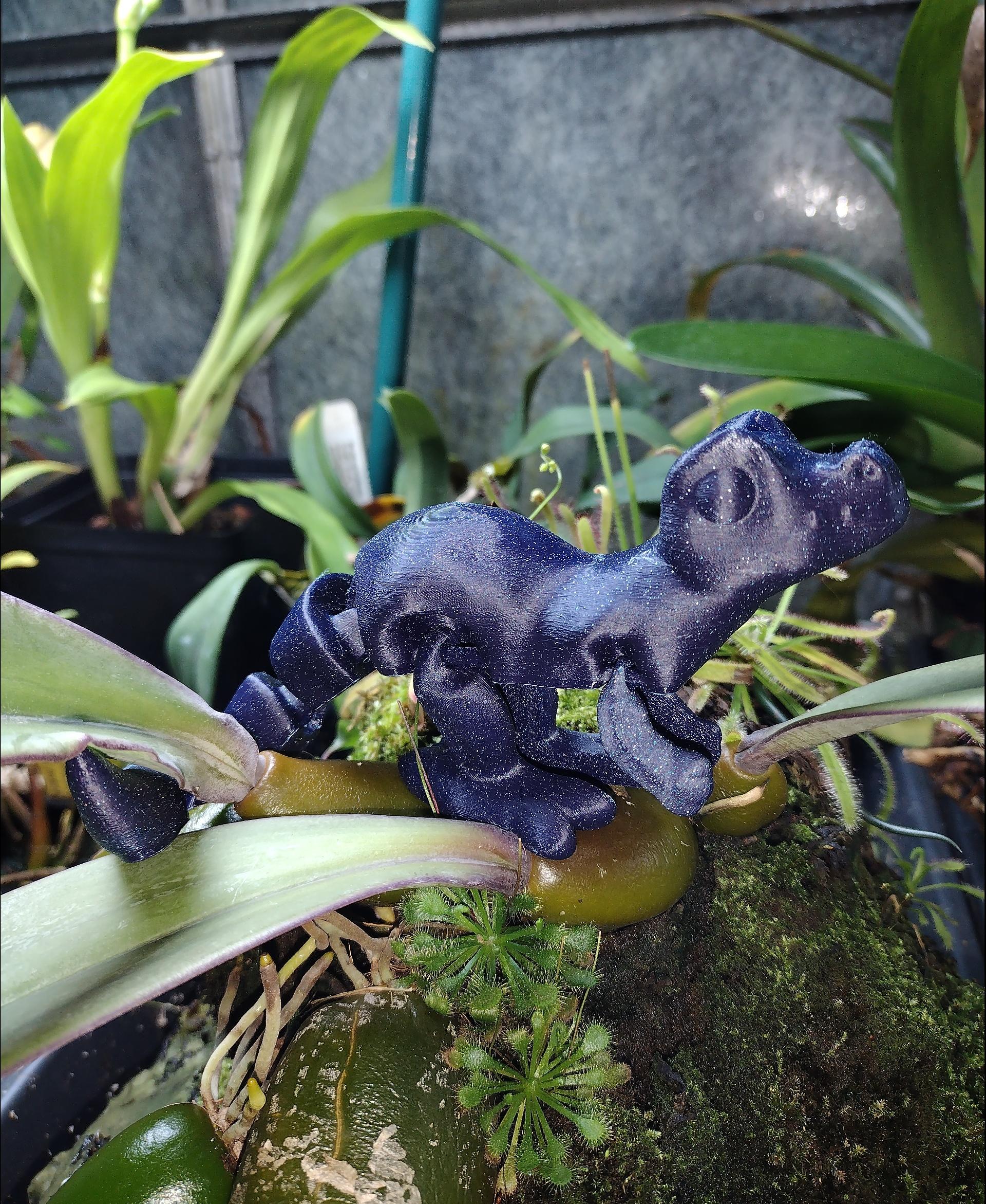Cute Flexi Raptor - Printed in Galaxy blue filament - 3d model