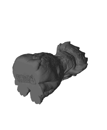 Baby Tricereatops 3d model