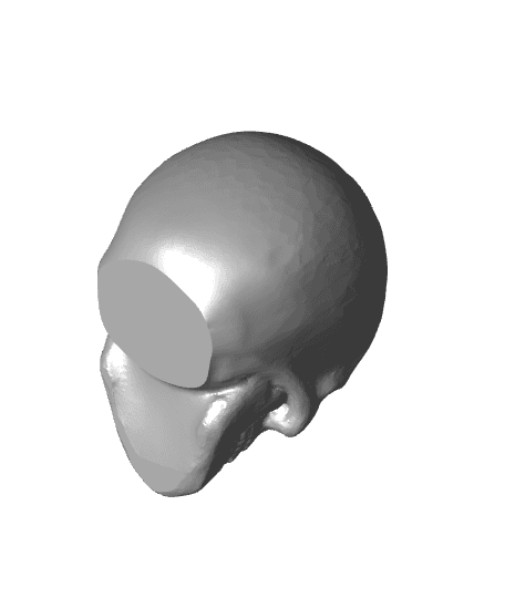 Skull3.stl 3d model